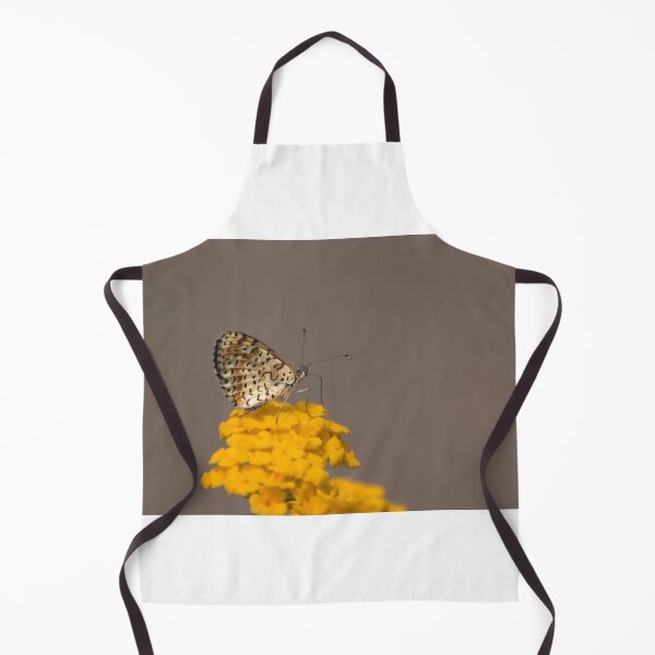 Item preview, Spotted fritillary designed and sold by pietrofoto.