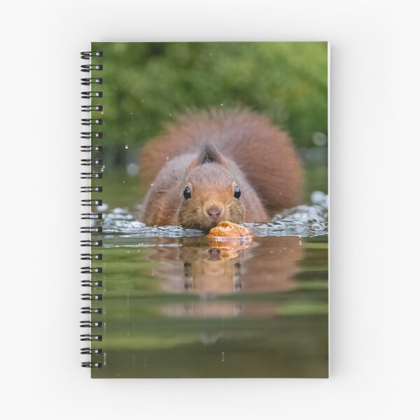 Item preview, swimming squirrel designed and sold by Nicole W..