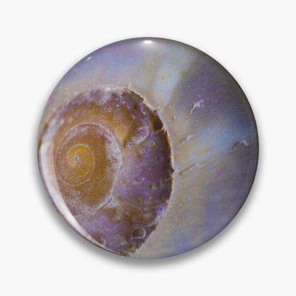 Item preview, purple shell designed and sold by Nicole W..