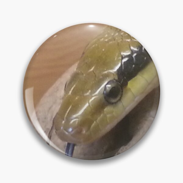 Item preview, Portrait of a Taiwan Beauty snake designed and sold by Mike Colwill.