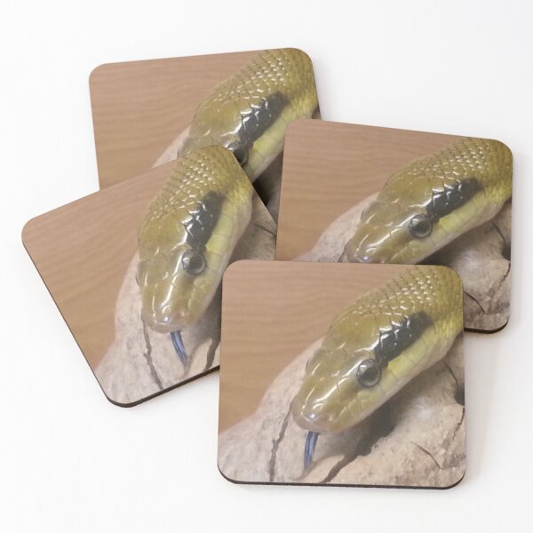 Item preview, Portrait of a Taiwan Beauty snake designed and sold by Mike Colwill.