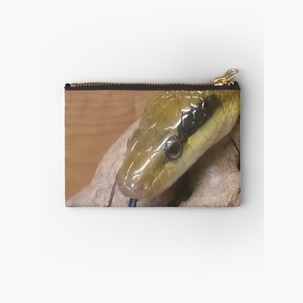 Item preview, Portrait of a Taiwan Beauty snake designed and sold by Mike Colwill.