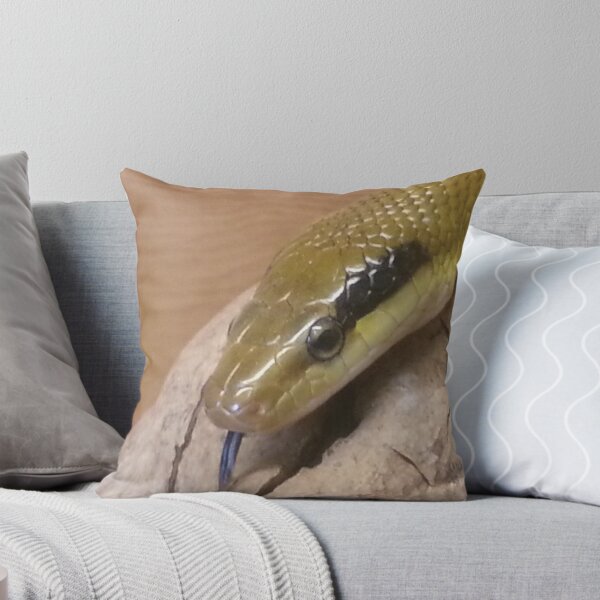 Item preview, Portrait of a Taiwan Beauty snake designed and sold by Mike Colwill.