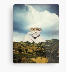Tuning Metal Print