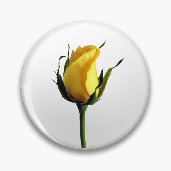 Item preview, Yellow rose designed and sold by kickingdesigns.