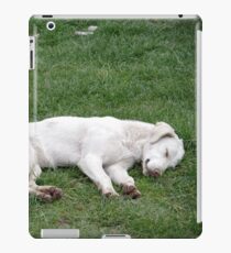 Sleeping White iPad Case/Skin