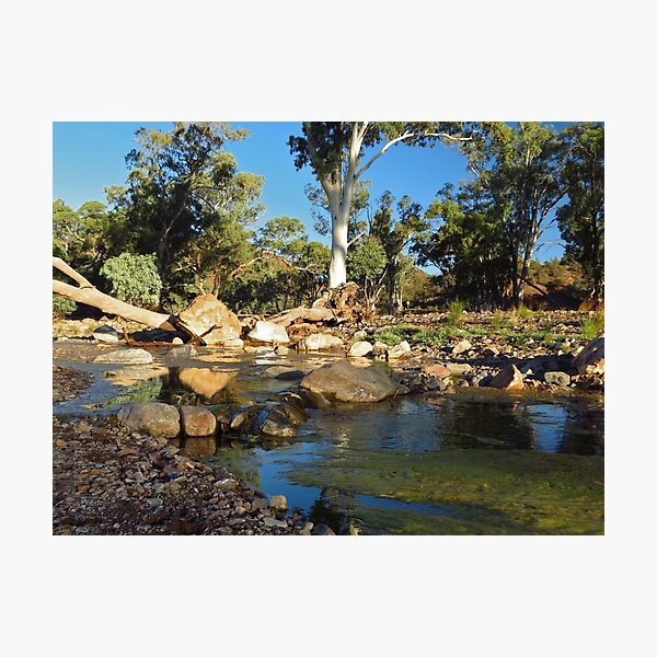 Item preview, Brachina George - Flinders Ranges designed and sold by outbackjack.