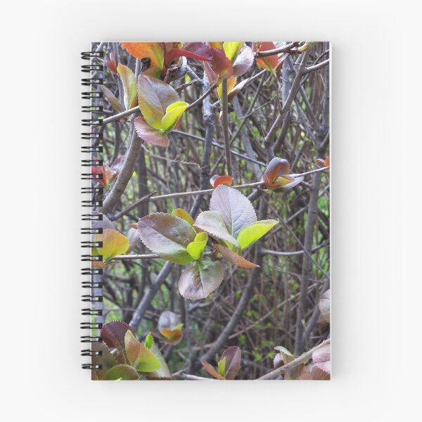Item preview, leaflets on twigs designed and sold by feiermar.
