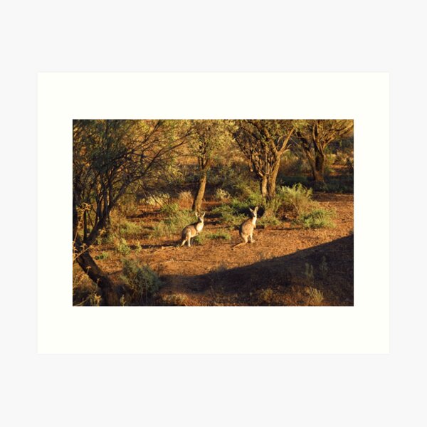 Two Roos Art Print
