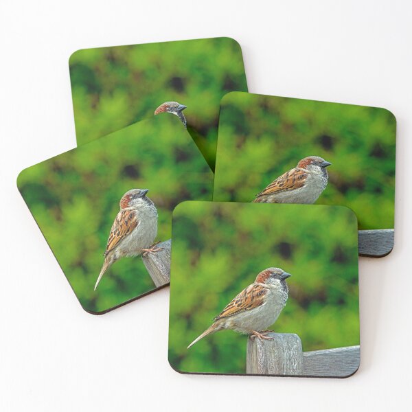 Item preview, A house sparrow up close and detailed in a garden designed and sold by Cameranick.