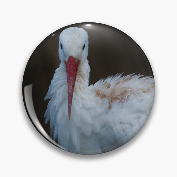 Item preview, White Stork designed and sold by rawshutterbug.