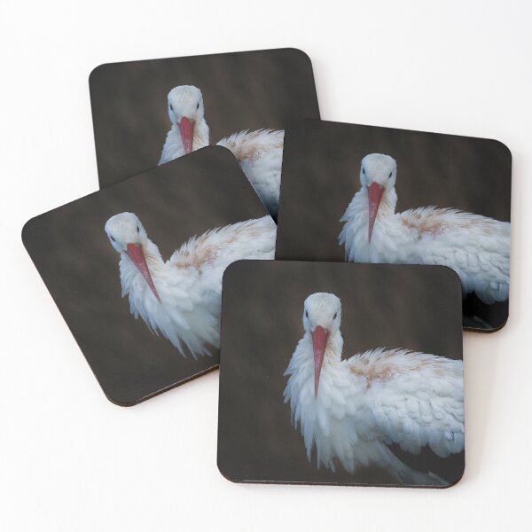 Item preview, White Stork designed and sold by rawshutterbug.