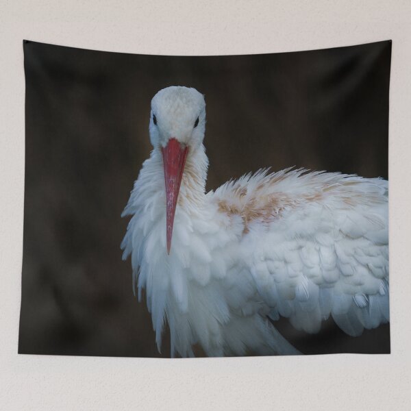 Item preview, White Stork designed and sold by rawshutterbug.