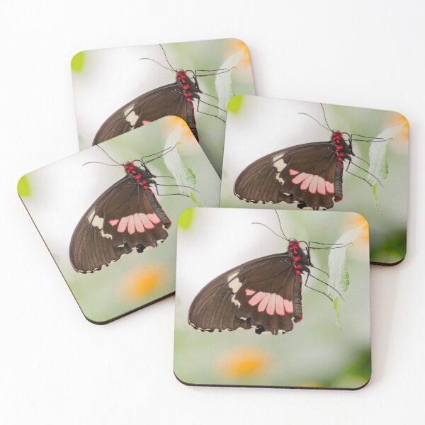 Artikelvorschau, butterfly entworfen und verkauft von Nicole W..