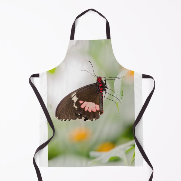 Aperçu de l'œuvre butterfly créée et vendue par Nicole W..