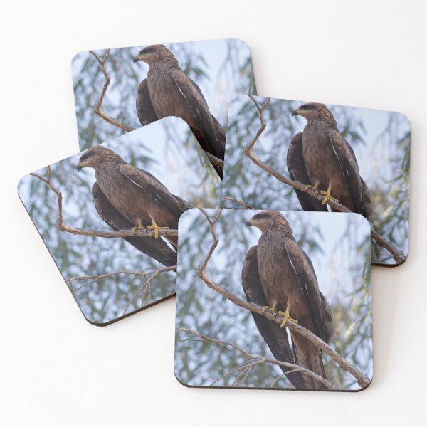 Item preview, Black Kite designed and sold by David  Hibberd.