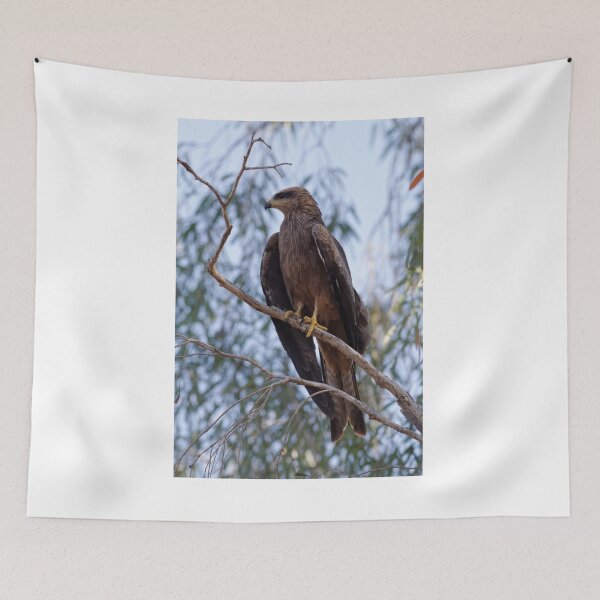 Item preview, Black Kite designed and sold by David  Hibberd.