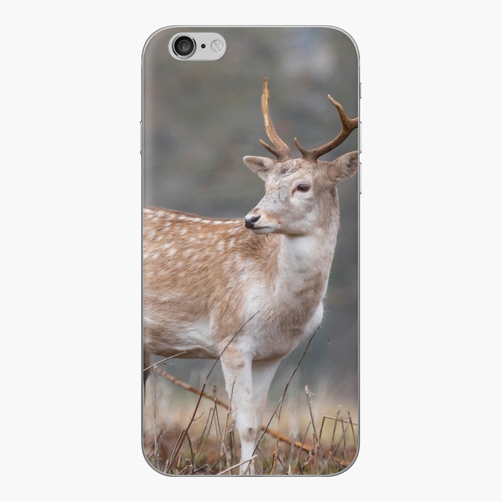 Item preview, iPhone Skin designed and sold by AYatesPhoto.