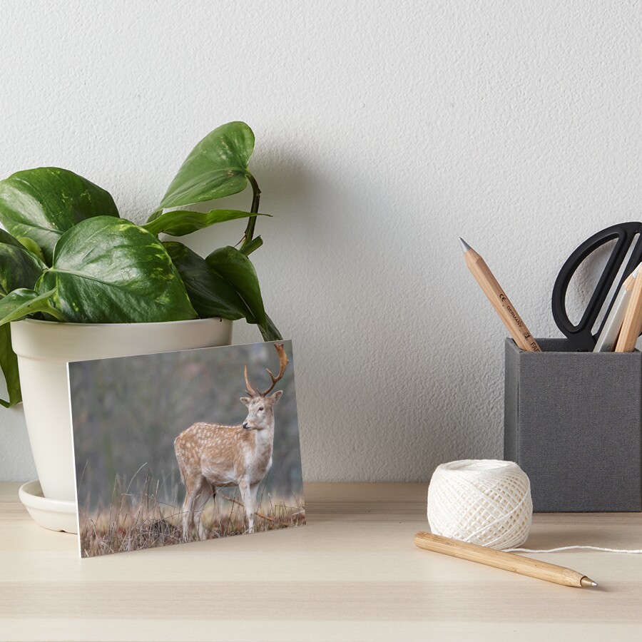 Item preview, Art Board Print designed and sold by AYatesPhoto.