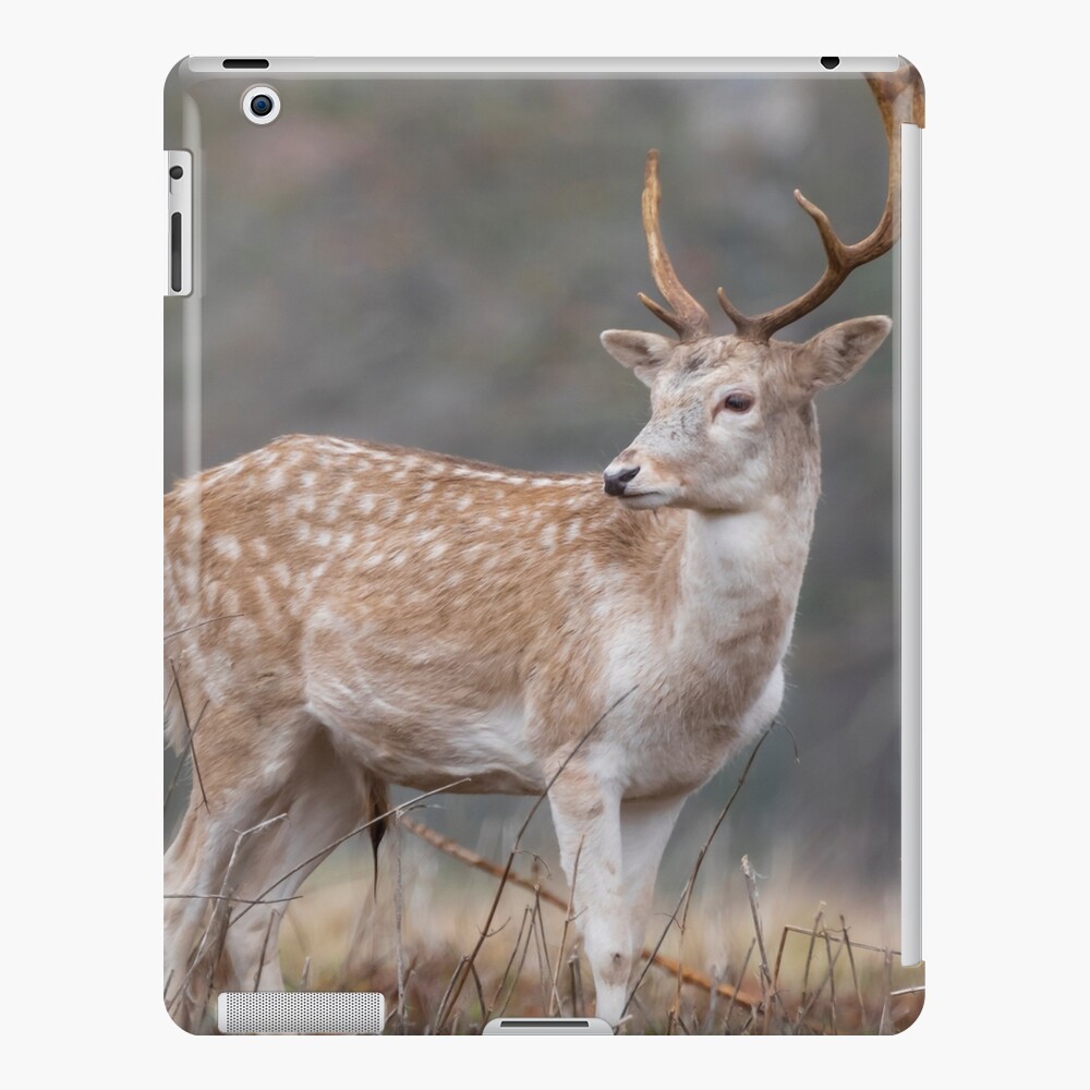 Item preview, iPad Snap Case designed and sold by AYatesPhoto.
