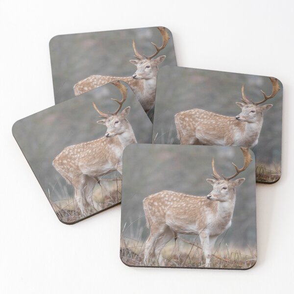 Item preview, Majestic lone fallow deer designed and sold by AYatesPhoto.