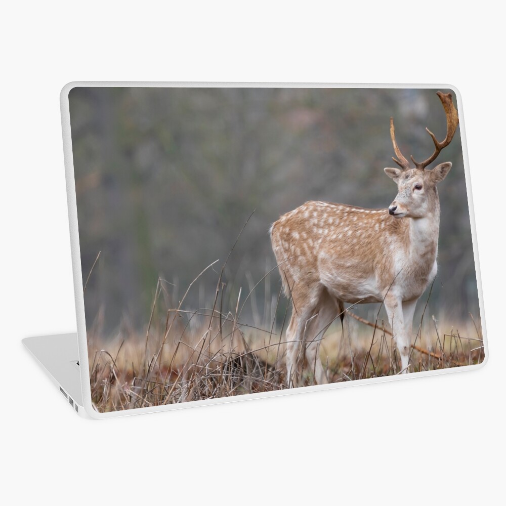Item preview, Laptop Skin designed and sold by AYatesPhoto.