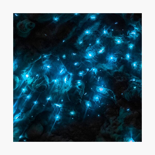 Glow in the Dark Waitomo Glow Worm Cave New Zealand Landscape Photographic Print