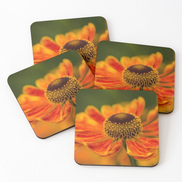 Item preview, Firery hot flower designed and sold by Nicole W..