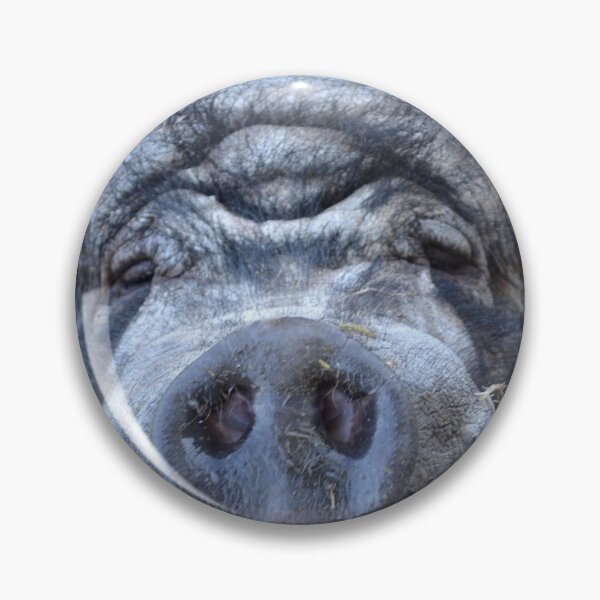 Item preview, Meet Willem designed and sold by Nicole W..