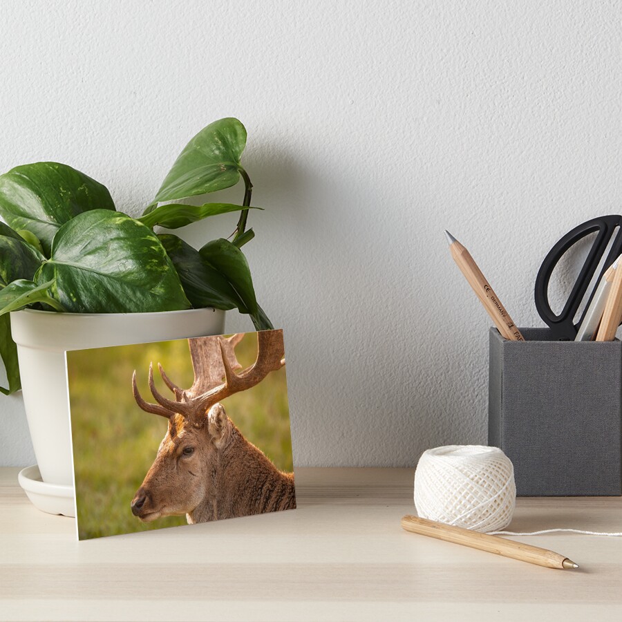Item preview, Art Board Print designed and sold by AYatesPhoto.