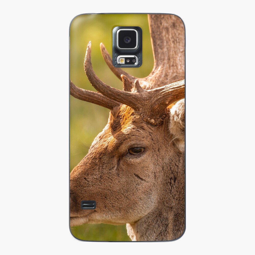 Item preview, Samsung Galaxy Skin designed and sold by AYatesPhoto.