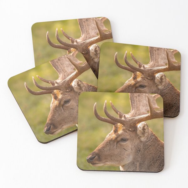 Item preview, Gentle fallow deer portrait designed and sold by AYatesPhoto.
