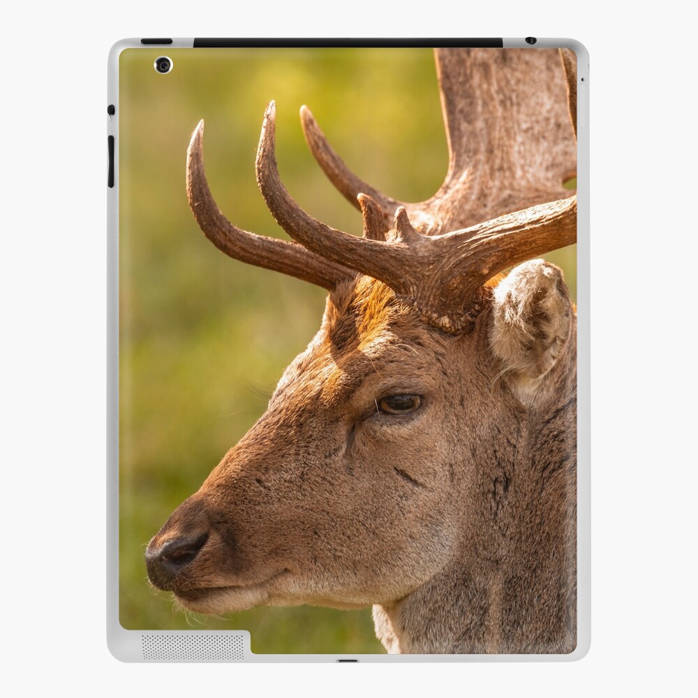 Item preview, iPad Skin designed and sold by AYatesPhoto.