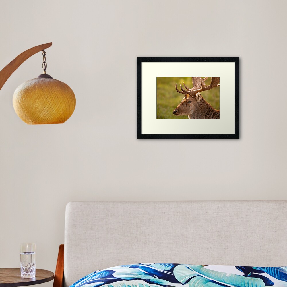 Item preview, Framed Art Print designed and sold by AYatesPhoto.