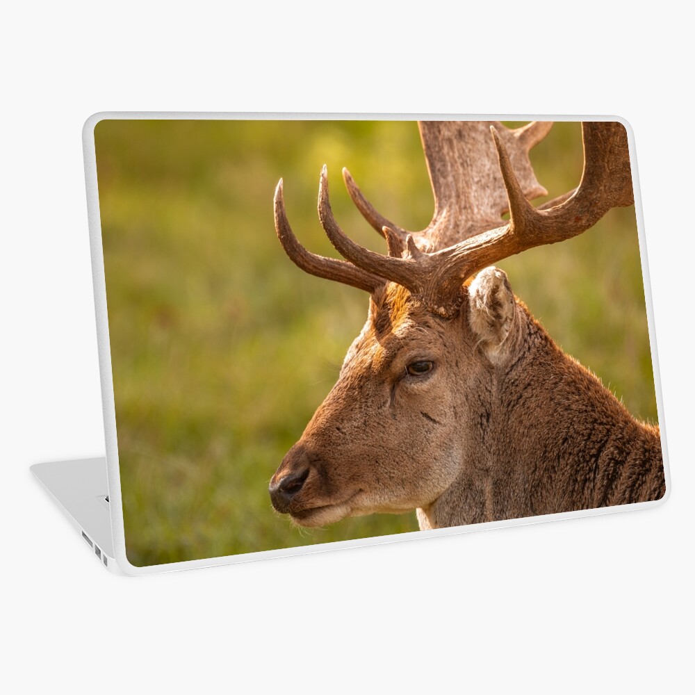 Item preview, Laptop Skin designed and sold by AYatesPhoto.