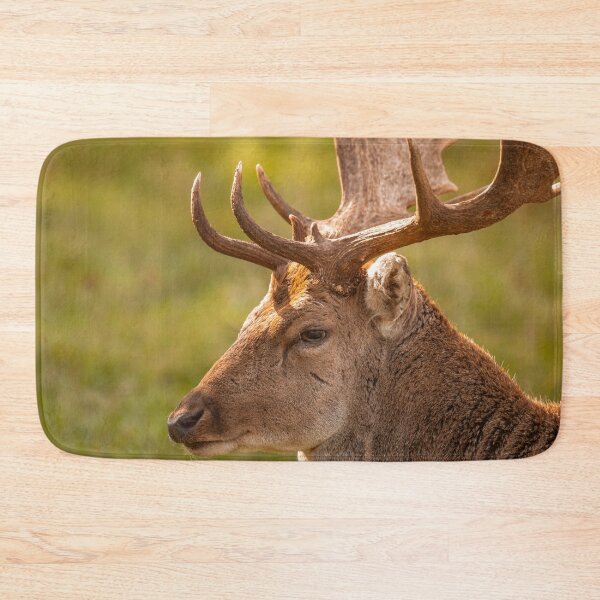 Item preview, Gentle fallow deer portrait designed and sold by AYatesPhoto.