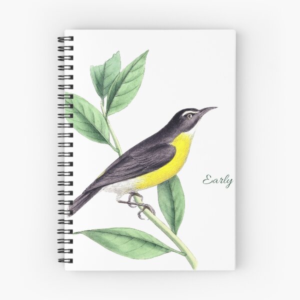 Item preview, Painting Vintage Bird  designed and sold by eajob.