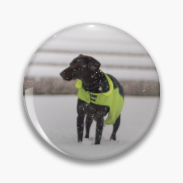 Item preview, Dogs playing in snow, landscape photography designed and sold by SMYTO.