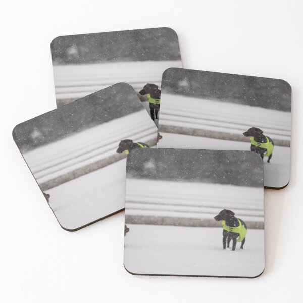 Item preview, Dogs playing in snow, landscape photography designed and sold by SMYTO.