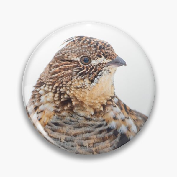 Item preview, Ruffed Grouse designed and sold by James Cumming.