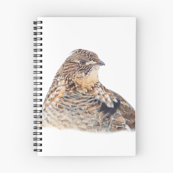 Item preview, Ruffed Grouse designed and sold by James Cumming.