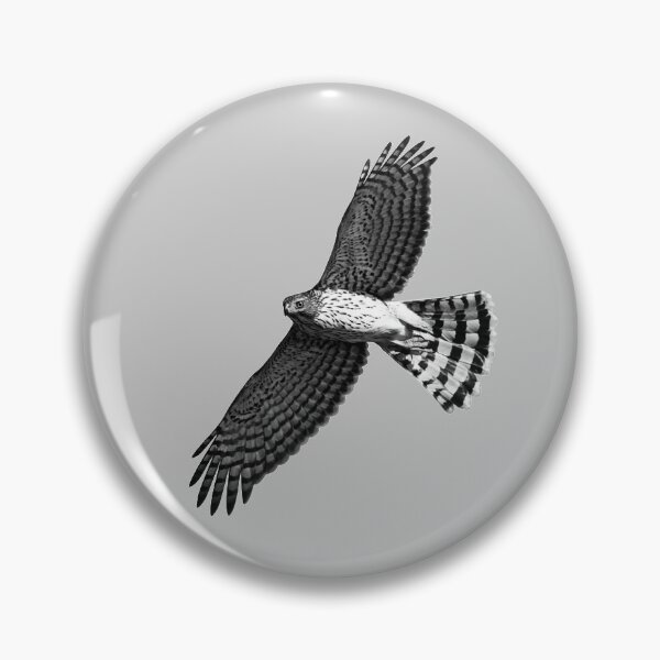 Item preview, Cooper's Hawk in Flight designed and sold by StampCity.