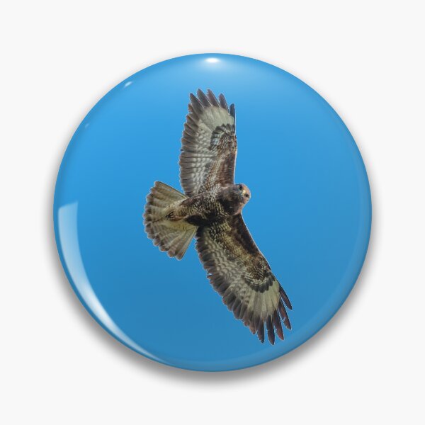 Item preview, Buzzard on Watch! designed and sold by Dalyndigital Photography.
