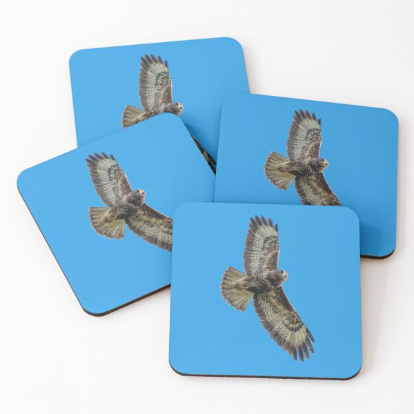 Item preview, Buzzard on Watch! designed and sold by Dalyndigital Photography.