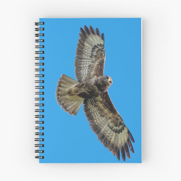 Item preview, Buzzard on Watch! designed and sold by Dalyndigital Photography.