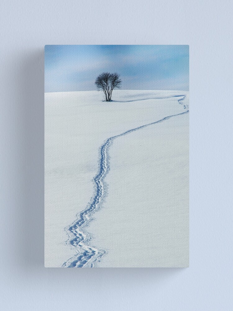 Alternate view of The Path to the Horizon Canvas Print
