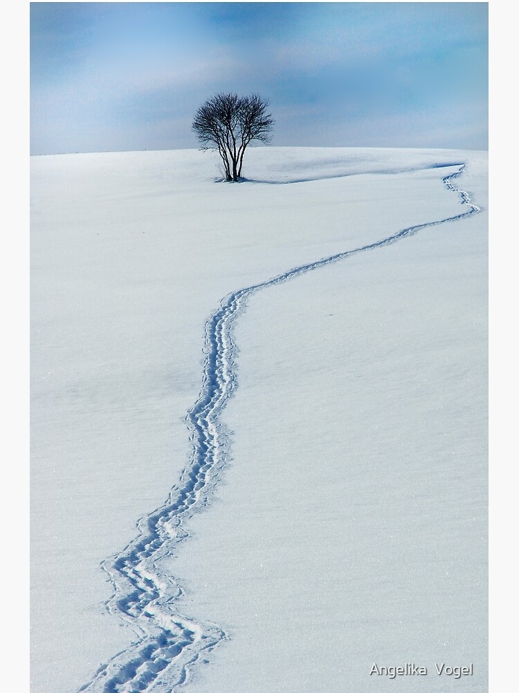 The Path to the Horizon by angevogel