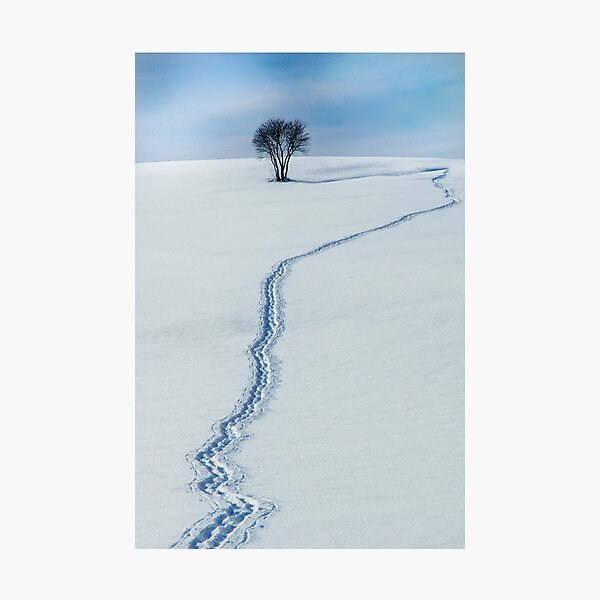 Der Weg zum Horizont Fotodruck
