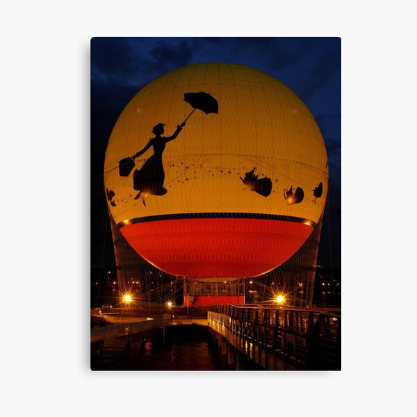 Come Fly With Me !!! Canvas Print