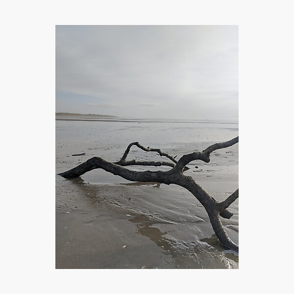 Item preview, Driftwood designed and sold by abbiesacres.
